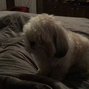 Meet your Posher, Renee